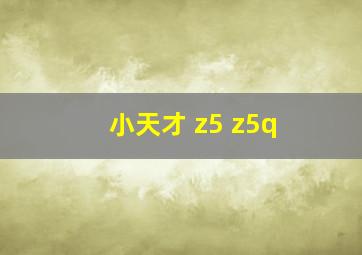 小天才 z5 z5q